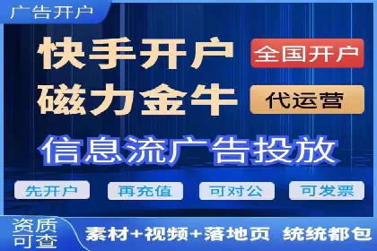 揭秘：成功SEM推广代运营公司案例解析